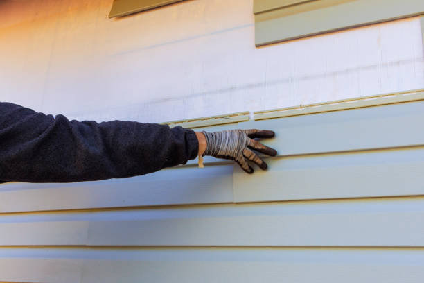 Best Siding for Commercial Buildings  in Cadiz, KY